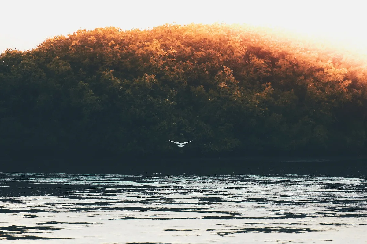 Addu City